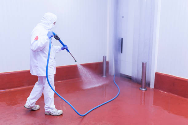 Best Sidewalk and Walkway Cleaning  in Merrick, NY
